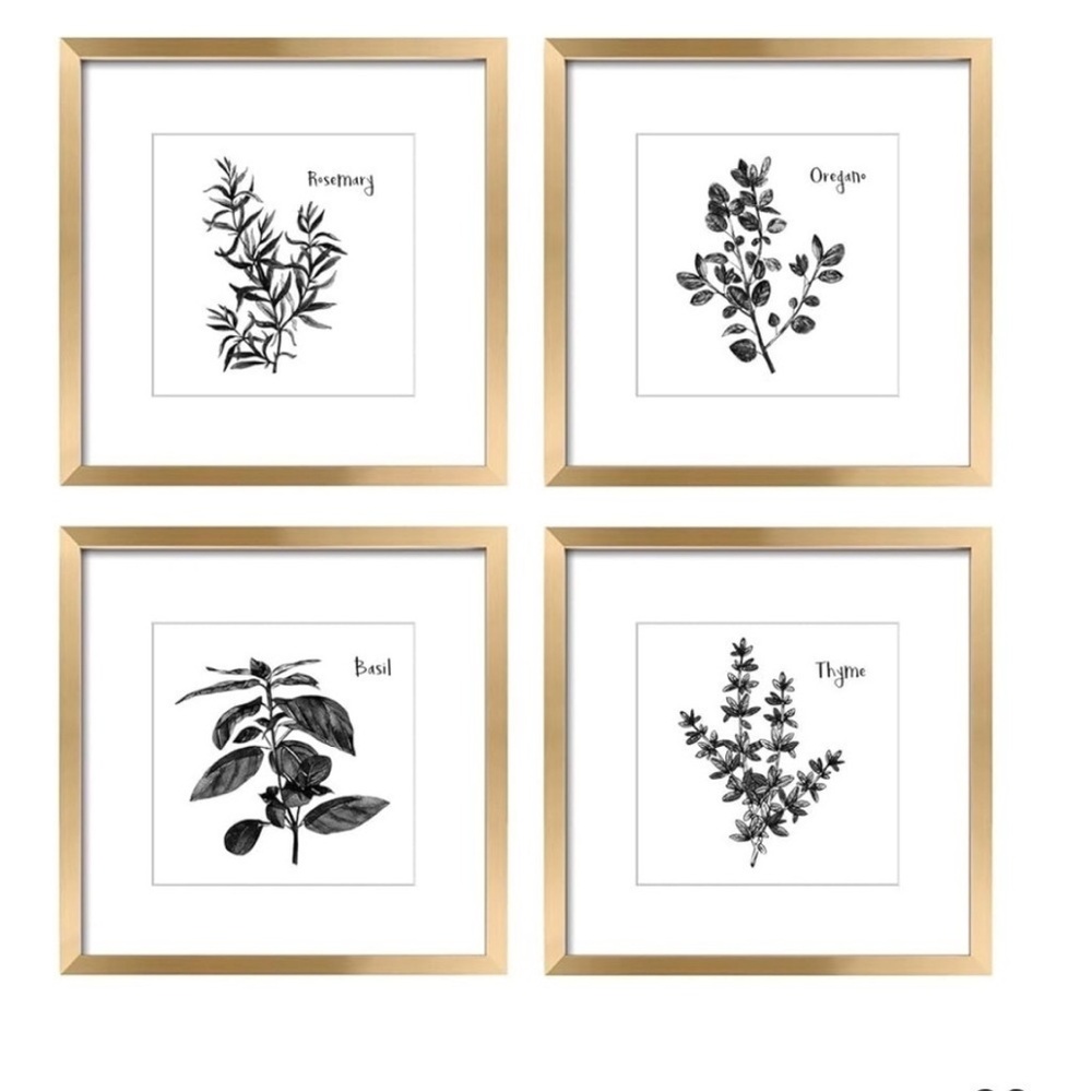 NWT 4 Spice Herb Framed Picture Set. Gold 11”x11” Kitchen | Classic | Timeless